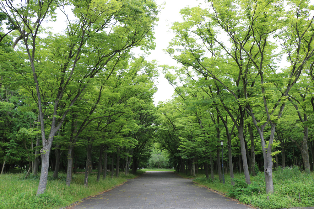 市民の森 特別史跡 大阪城公園