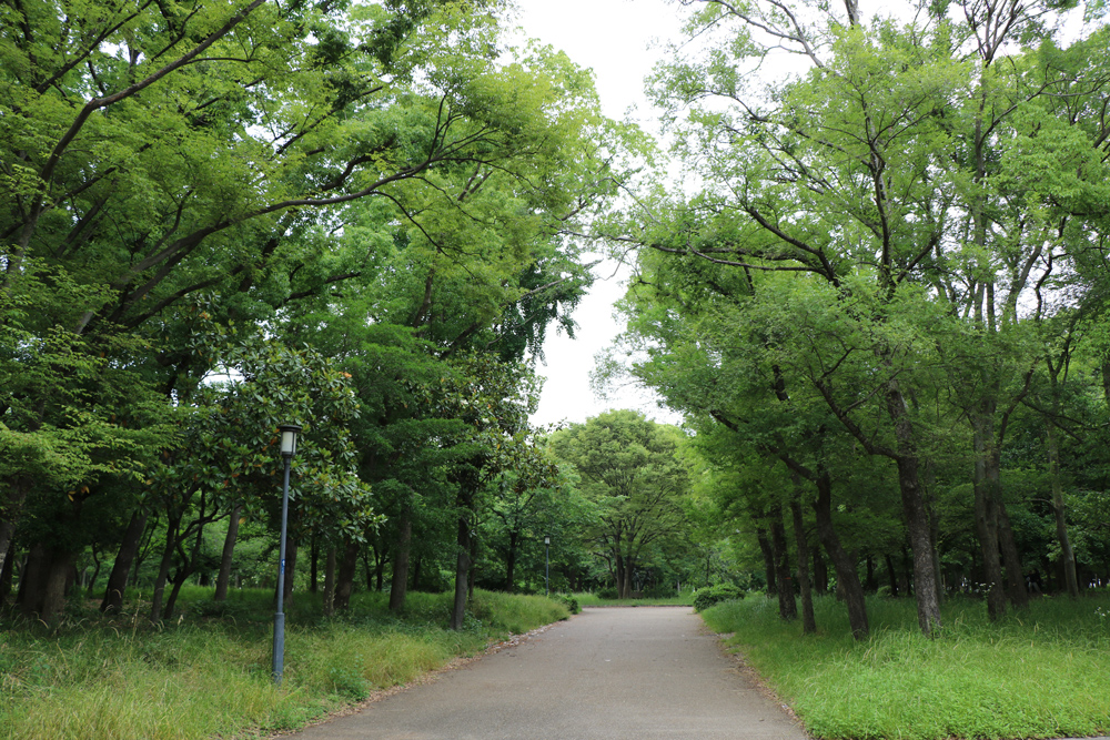 記念樹の森 特別史跡 大阪城公園