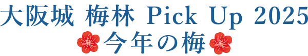 大阪城 梅林 Pick Up 2025